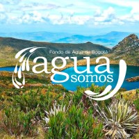 Agua Somos logo - Similar company to Earth Security