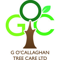 G O'Callaghan Tree Care Limited
