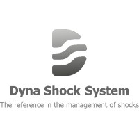 DYNA SHOCK SYSTEM SAS logo - Similar company to Dyna Shock System
