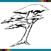 Humboldt Area Foundation logo - Similar company to Identity Studio