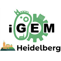 iGEM Team Heidelberg logo - Similar company to Igem Munich