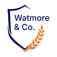 Watmore and Co. Accounting Ltd logo - Similar company to T Star Tech