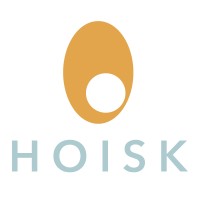 HOISK DESIGN logo - Similar company to Plett Labs.