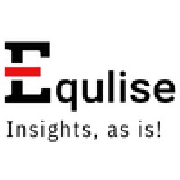 Equlise Insights logo - Similar company to Softevia