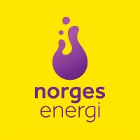NorgesEnergi AS logo - Similar company to Fjordkraft