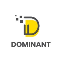 Dominant Infotech logo - Similar company to Techvizor