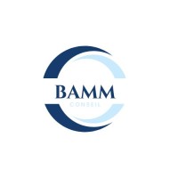BAMM Conseils logo - Similar company to Nj Création Paris