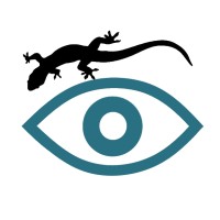 Gecko Optica Boutique logo - Similar company to Mi Lente Óptica Boutique