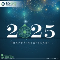 ESGO HEALTHCARE logo - Similar company to Hintt.
