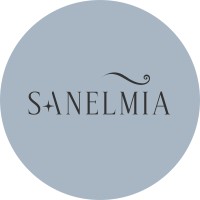 Sanelmia Oy logo - Similar company to Digiagentti Oy