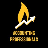 NKU Accounting Professionals logo - Similar company to Physicians Accounting, Ltd
