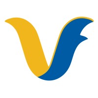 VlogFied logo - Similar company to Infogentech