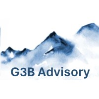 G3B Advisory logo - Similar company to Simple Decisions