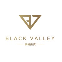 Black Valley Capital