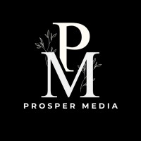 Prosper Media Marketing logo - Similar company to Mckenzie Jones Llc