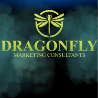Dragonfly Marketing Consultants logo - Similar company to Advantage Benefit Consultants