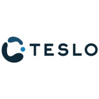Teslo logo - Similar company to Rmc-Norkem Corporation