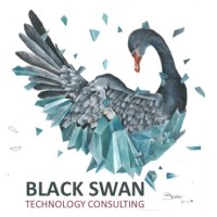 Black Swan Technology Consulting logo - Similar company to Plan B Media