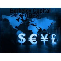 Berkeley Capital Forex logo - Similar company to Mission Sync Llc