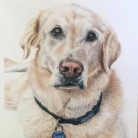 Timpson Art