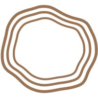 Momona Skincare logo - Similar company to Activist Mānuka