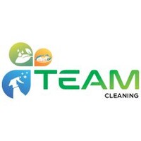 Team Cleaning Belgium logo - Similar company to Albeco Projects