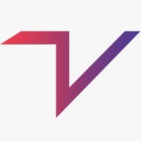 TeamsVise LLC logo - Similar company to Ainitek
