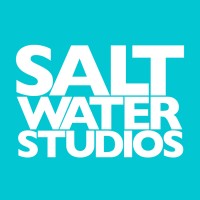 Saltwater Studios logo - Similar company to Contacta Systems Ltd