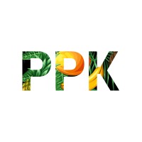 PPK IN Seoul logo - Similar company to Win Trading