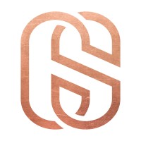 Capital Solutions Advisory logo - Similar company to Vestra Advisory