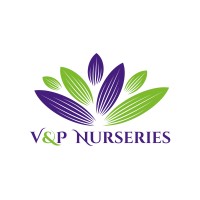 V&P Nurseries logo - Similar company to Summerwinds Nursery