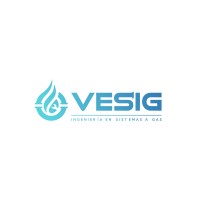 VESIG SPA logo - Similar company to Ducum