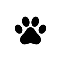 Pet Squad Usa