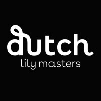 Dutch Lily Masters logo - Similar company to Van Schie