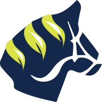 Dala Communications logo - Similar company to Realinsight