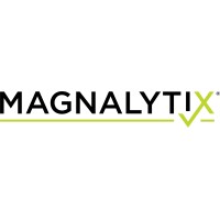 Magnalytix logo - Similar company to South-Tek Systems