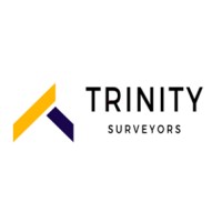 Trinity Surveyors logo - Similar company to Domec Professional Services - Buildings Consultancy & Dispute Resolution