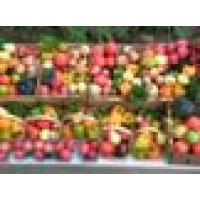 Black Horse Farms Inc