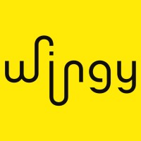 wingy logo - Similar company to Diggibytes