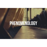 Phenomenology logo - Similar company to Pivaut