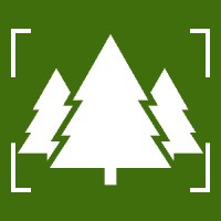 Arbory Digital logo - Similar company to Streamx.Dev