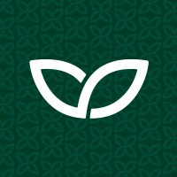 Wikli logo - Similar company to Wiklisoft Oy