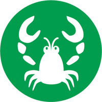 Lobster logo - Similar company to Like Solutions Gmbh