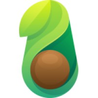 Avanavo logo - Similar company to Data Noesis