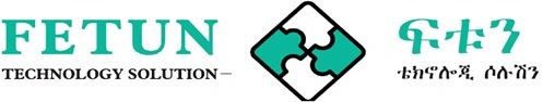 Fetun Technology Solution P.L.C logo - Similar company to Tikuret Lesetoch Ena Lehitsanat Mahiber (Tllm)