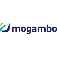 Mogambo BV logo - Similar company to Playcake