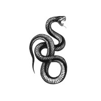 S. CHRISTIAN SEARE logo - Similar company to Spclst