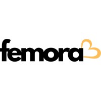 Femora logo - Similar company to Compotech Elektronik