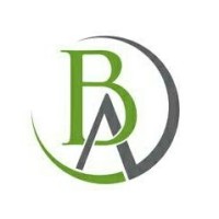 BajajAdvisory logo - Similar company to Chess Rulers