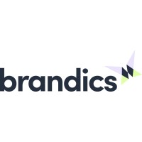 Brandics GmbH logo - Similar company to Holzhey-Consulting Gmbh